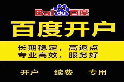 SEM竞价技巧：成功案例揭秘