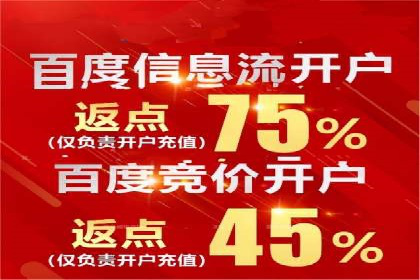 抖音信息流广告的投放策略与成功案例分析